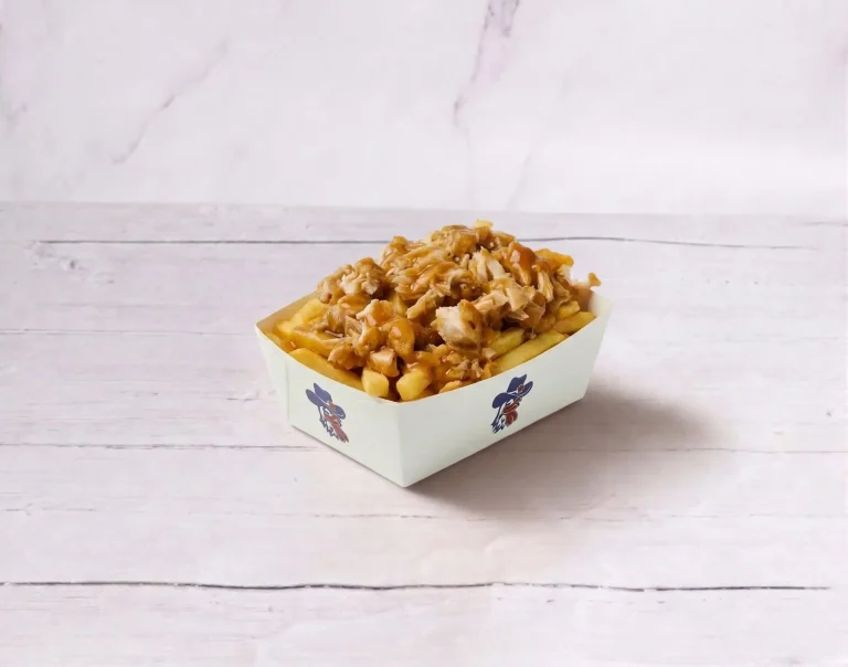 wwwwwgravy loaded fries