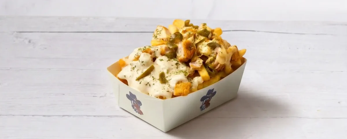 wwwwwperi peri garlic mayo loaded fries