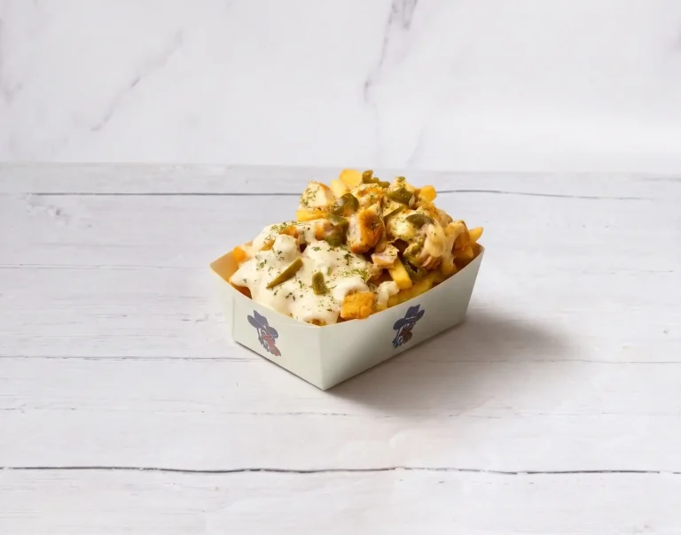 wwwwwperi peri-garlic mayo loaded fries